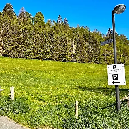 Smart 1 Bb1 203 * Winterberg